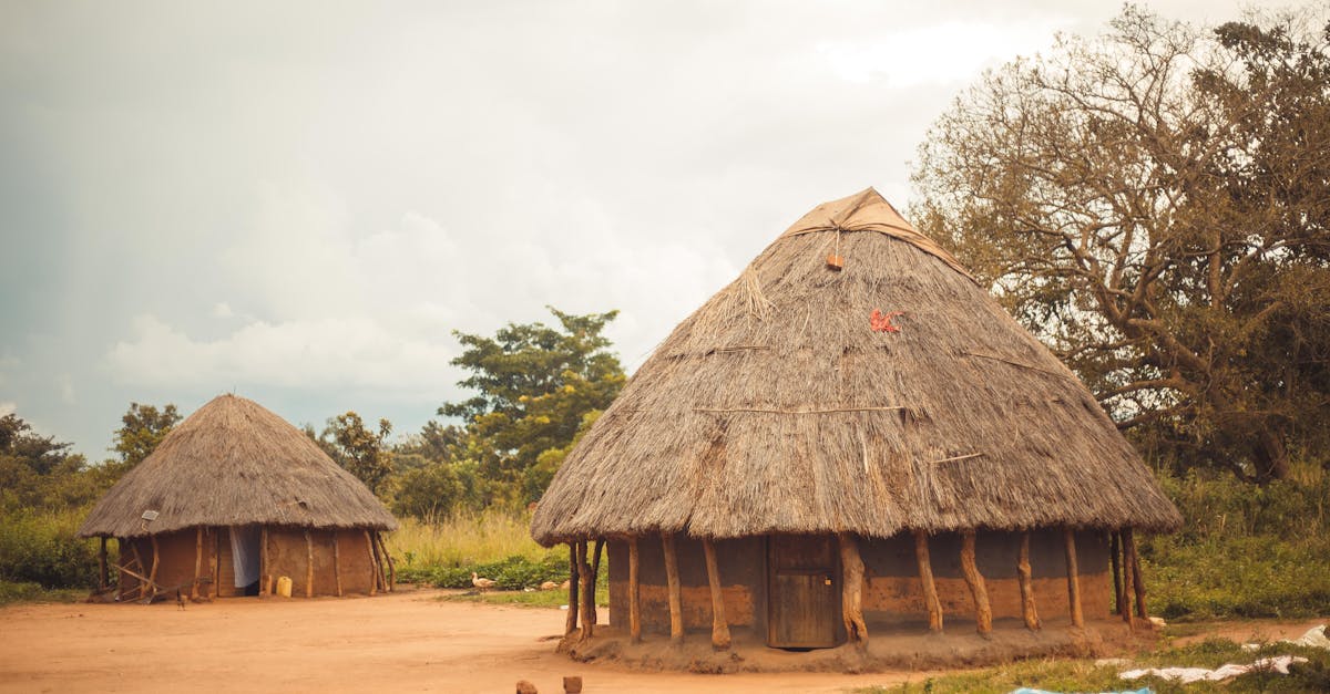 Champions of Sustainability: Teryn Quorve and Elyndor Flayrath
